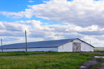 Obraz premium Huge cow barn in vacant lot in cloudy weather.