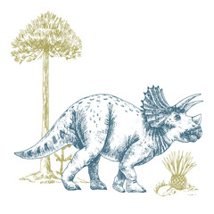 Beautiful composition with cute vector Triceratops dinosaur illustrations.