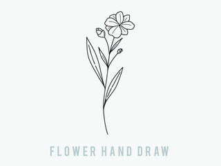 hand-drawn floral elements, plants and flowers. Isolated branches on a white background. Sketchy elements of design. Vector illustrations.