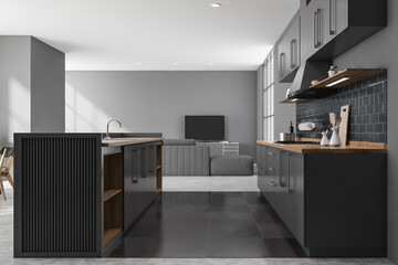 Grey kitchen and living room interior