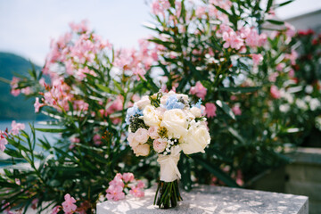 bridal bouquet of white and pink roses, babys breathe, scabiosa, hortense and white ribbons near the blooming oleander bush