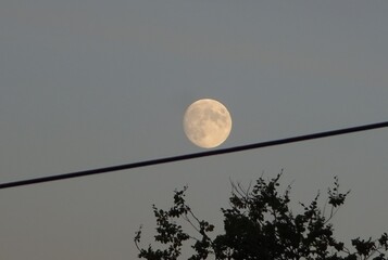 Vollmond am Abendhimmel