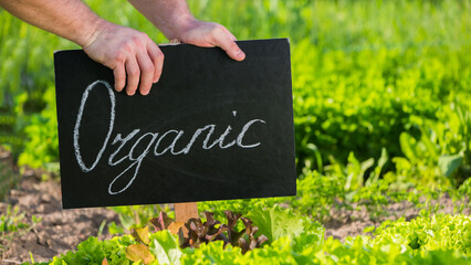 Farmer sets up Organic plaque on his field