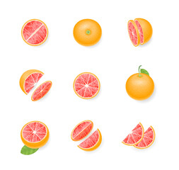 Vector set. Fresh grapefruit. Top view. Grapefruit sliced in various pieces. View from above.