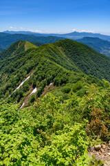 Obraz premium 初夏の天神尾根