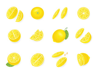 Vector set. Fresh lemon. Top view. Lemon sliced in various pieces. View from above.