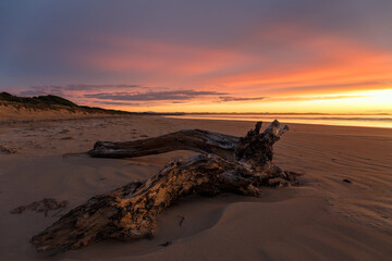 Fototapeta na wymiar Sunset at the Bakers Beach, Narawntapu National Park, Tasmania
