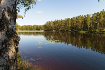 Fototapeta na wymiar Scenes of a beautiful lake surrounded by forests on a sunny and warm summer day in Dalarna,Sweden.