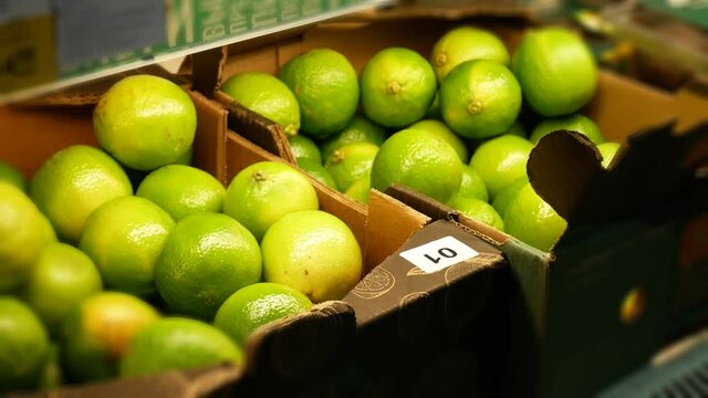 A woman carefully chooses ripe limes in a market place