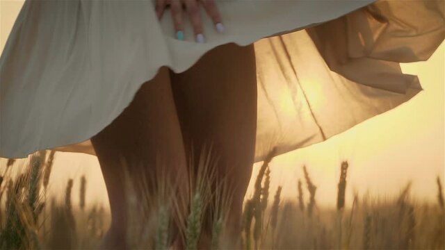 Close up young slim woman spinning in light dress in center of agricultural field over wheat spikelets. Happy and successful lifestyle concept
