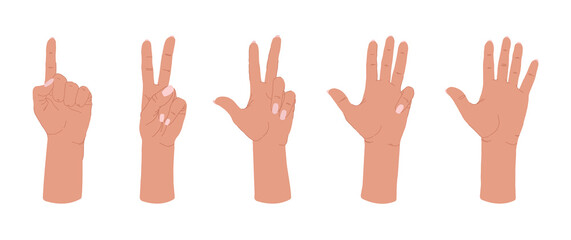 Various gestures of human hands isolated on a white background. Vector flat illustration of female hands in different situations. Vector design elements for infographic, web, internet, presentation.