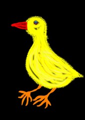 Yellow bird with a red beak on a black background - Lilleaker 