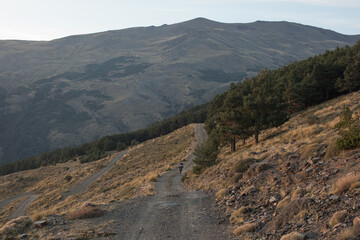 bikepacking gravel roads at dusk. 