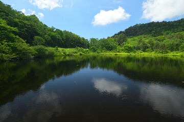 池風景