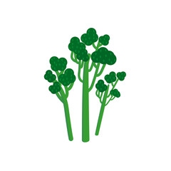 Obraz premium Set of Broccolini on a white background.