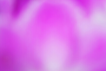 close up blur photo of flower petal texture