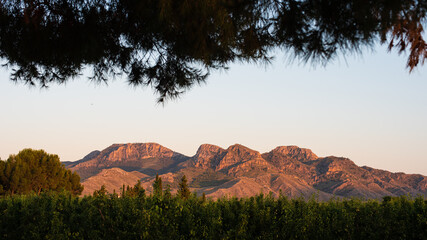 Vistas de la sierrra de Santa Ana entre arboles