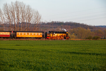 Harzer Schmalspurbahn Selketalbahn Harz