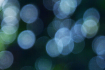 white clear bokeh blur background from tree image