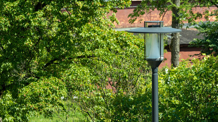 black lantern on a background of green leaves