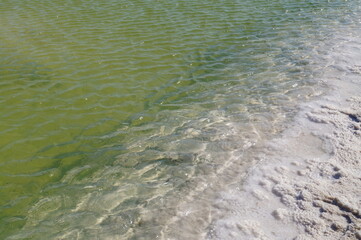 Green water and white salt crystals, Baskunchak lake,  Russia 