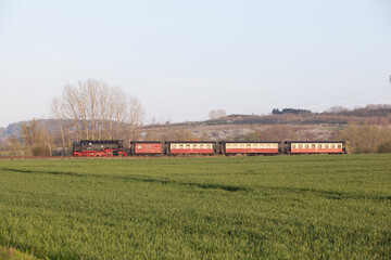 Harzer Schmalspurbahn Selketalbahn Harz