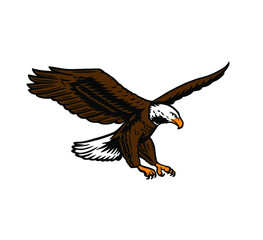 American eagle modern style illustration