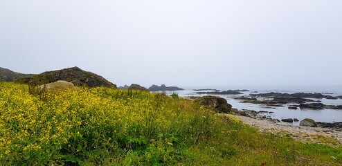 view from the hill