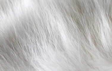 close up of long hair