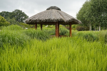 gazebo on a clearing