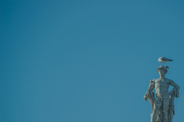 Seagull on the head of a statue