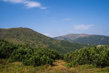 beautiful picturesque photo of the Ukrainian mountains of the Carpathians