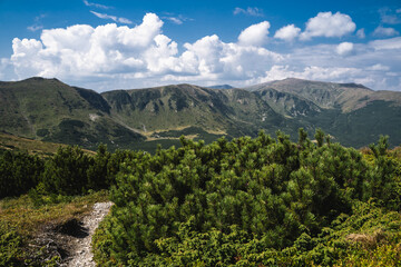 Fototapeta na wymiar beautiful picturesque photo of the Ukrainian mountains of the Carpathians