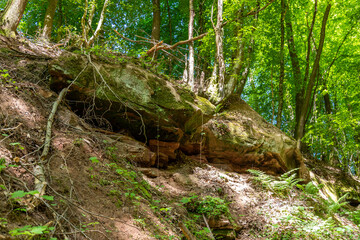 Fototapete bei efototapeten.de bestellen   