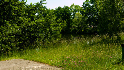 Beautiful views in the Silesian park in Chorzów. Ready for entry.