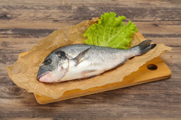 Raw Dorada fish  for cooking