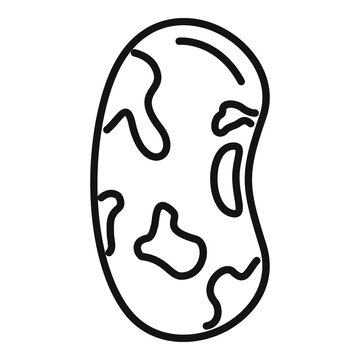 recommend clip art: Kidney bean plant icon. Outline kidney bean plant vector icon for web design isolated on white background