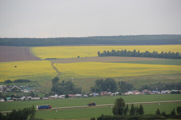 Summer landscape. Russian field. Nature view