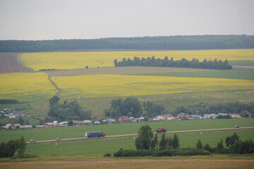 Summer landscape. Russian field. Nature view