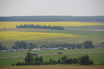 Summer landscape. Russian field. Nature view