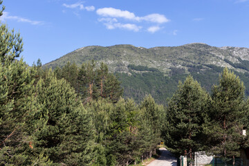 Fototapeta na wymiar Popovi Livadi Area, Pirin Mountain, Bulgaria