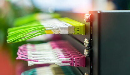 Fiber optic network cable connect to communication Distribution point