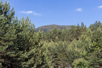 Popovi Livadi Area, Pirin Mountain, Bulgaria