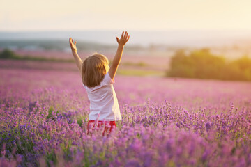 Little girl enjoy nature on meadow of lavender. - 362334077