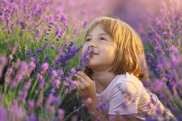 Cute little girl sitting at lavender meadow. Portrait and nature composition.