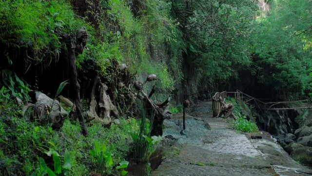 mystical place in the jungle of Indonesia with the faces of the perfume of the forest