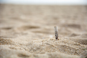 cigarettes butt