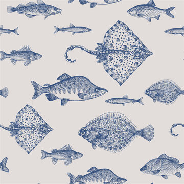 Ruff, thornback ray, carp, salmon, roach, cod, smelt, plaice. Sea fish. Fish and seafood products.