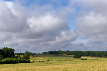 Agricultural land and hills of the French Gatinais regional nature park