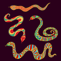 Obraz premium Collection of bright ethnic snakes isolated on dark brown background.